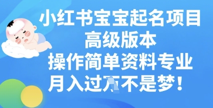 小红书宝宝起名项目高级版本，操作简单，资料专业，月入过W-源创文化-轻创终点站