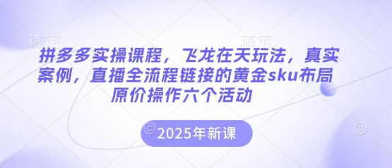 拼多多实操课程,飞龙在天玩法,真实案例,直播全流程链接的黄金sku布局原价操作六个活动-源创文化-轻创终点站